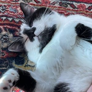 Meet your Posher, Sally